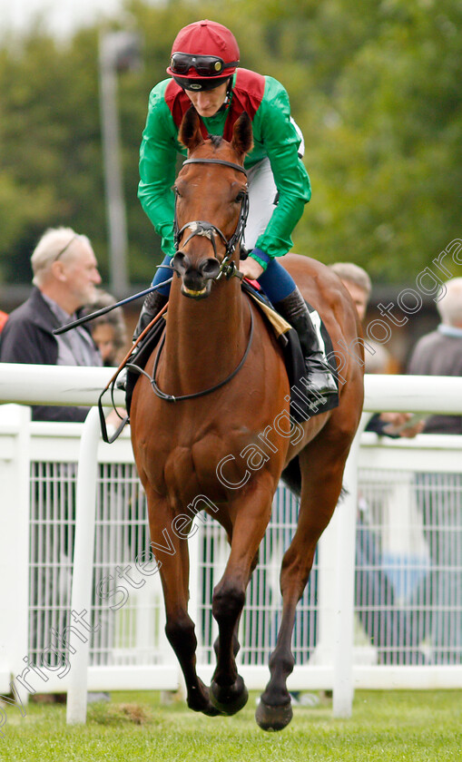 Pearl-Glory-0001 
 PEARL GLORY (Daniel Muscutt)
Salisbury 2 Sep 2021 - Pic Steven Cargill / Racingfotos.com