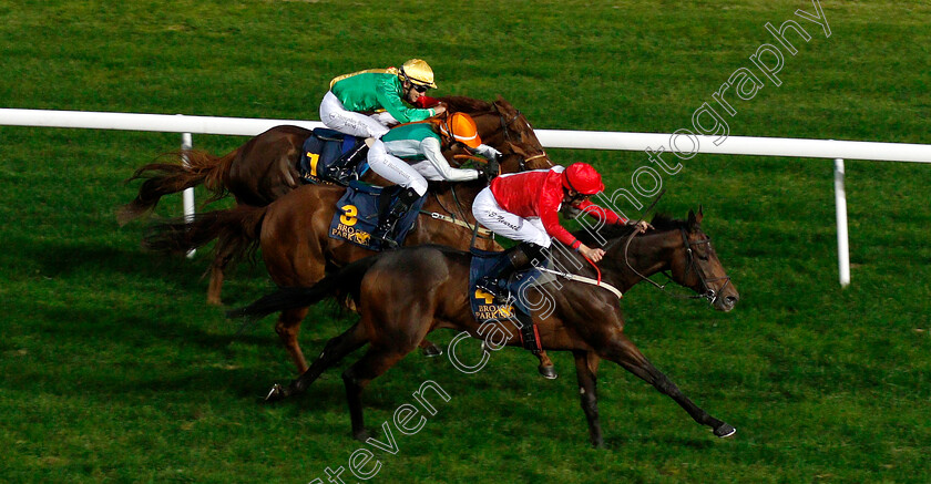 Dardenne-0003 
 DARDENNE (Jan Erik Neuroth) wins The Breeders Trophy Sprint
Bro Park, Sweden 21 Sep 2018 - Pic Steven Cargill / Racingfotos.com