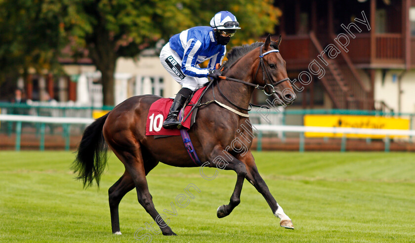 Under-Fox-0001 
 UNDER FOX (Graham Lee)
Haydock 3 Sep 2020 - Pic Steven Cargill / Racingfotos.com