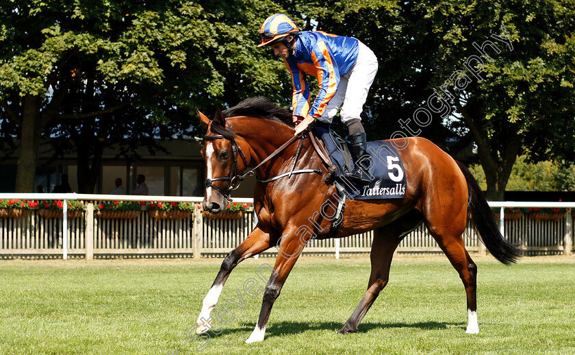 Clemmie-0001 
 CLEMMIE (Ryan Moore)
Newmarket 13 Jul 2018 - Pic Steven Cargill / Racingfotos.com