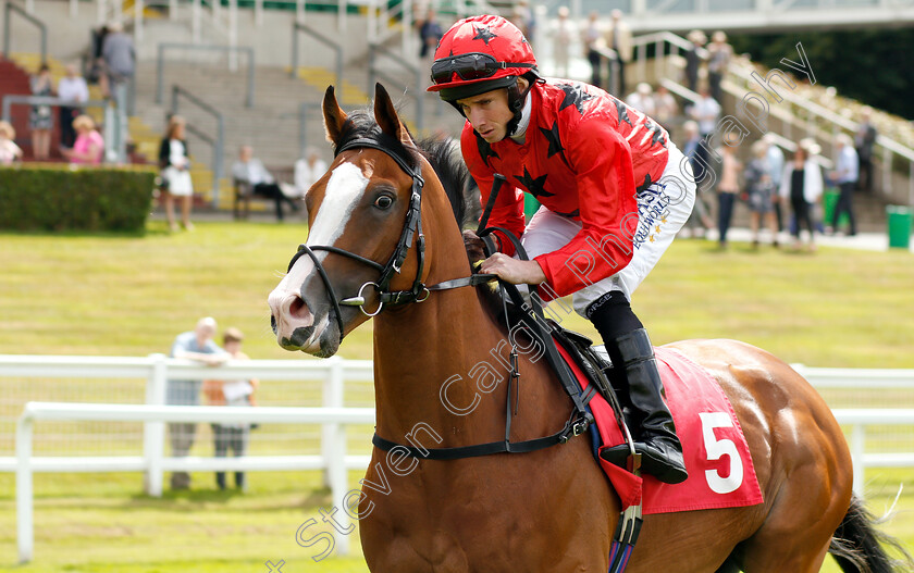 Eagle-Hunter-0004 
 EAGLE HUNTER (Ryan Moore)
Sandown 15 Jun 2018 - Pic Steven Cargill / Racingfotos.com