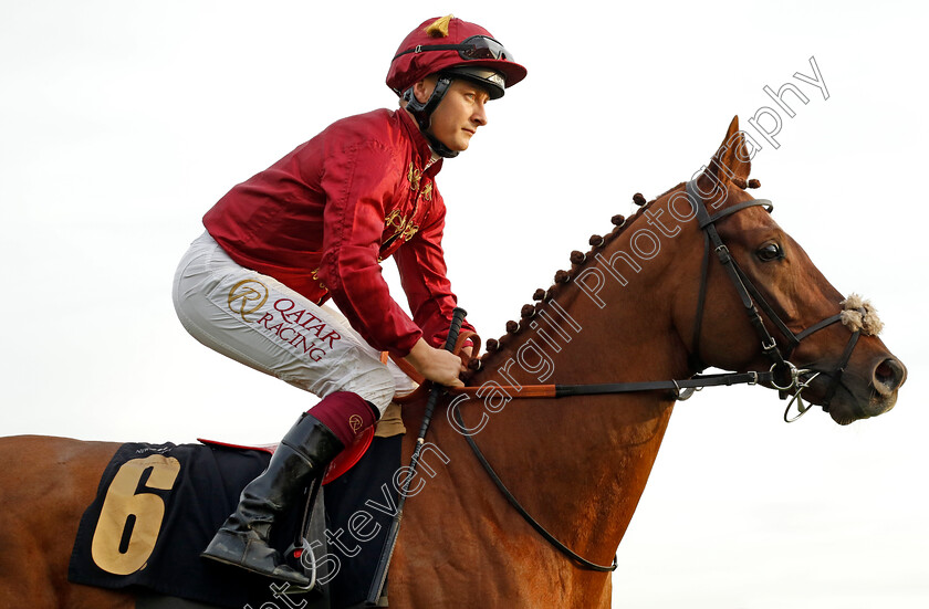 Nobel-0002 
 NOBEL (Cieren Fallon)
Newmarket 29 Oct 2022 - Pic Steven Cargill / Racingfotos.com