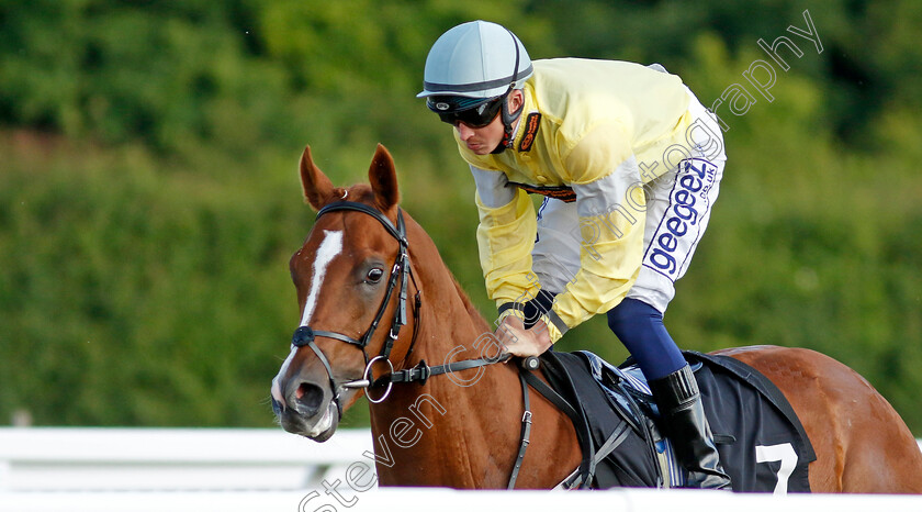 Drum-Brae-Boy 
 DRUM BRAE BOY (David Probert)
Chelmsford 7 Jun 2022 - Pic Steven Cargill / Racingfotos.com