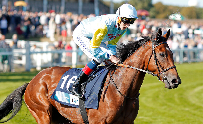 Tauteke-0001 
 TAUTEKE (David Egan)
Yarmouth 18 Sep 2019 - Pic Steven Cargill / Racingfotos.com