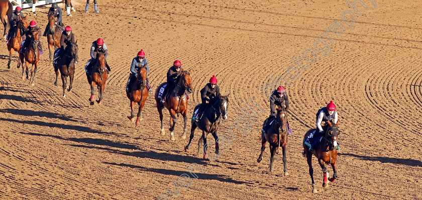 Aidan-O Brien-string-0003 
 The Aidan O'Brien string training for The Breeders' Cup 
Santa Anita USA, 31 October 2023 - Pic Steven Cargill / Racingfotos.com