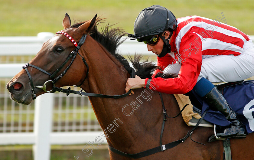 Redemptive-0007 
 REDEMPTIVE (William Buick) wins The Watch Free Replays On attheraces.com Handicap Div2
Yarmouth 25 Aug 2020 - Pic Steven Cargill / Racingfotos.com