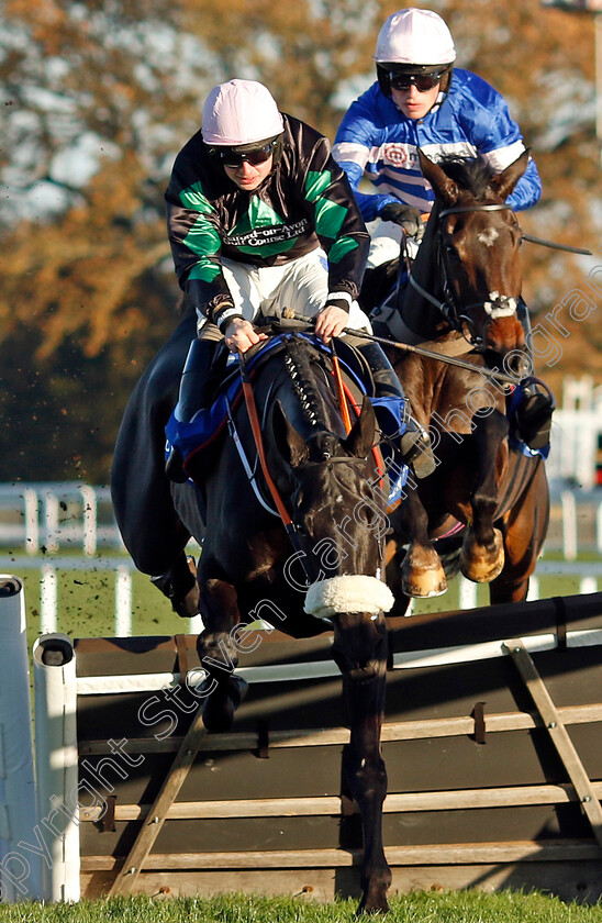 Blueking-d Oroux-0001 
 BLUEKING D'OROUX (right, Harry Cobden) beats STRONG LEADER (left) in The Coral Hurdle
Ascot 25 Nov 2023 - Pic Steven Cargill / Racingfotos.com