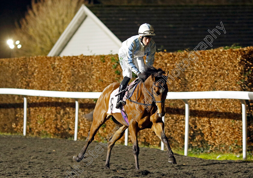 Yielding-To-None-0001 
 YIELDING TO NONE (Paddy Bradley)
Kempton 11 Dec 2024 - Pic Steven Cargill / Racingfotos.com