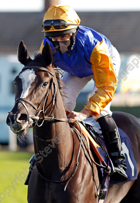 Ville-De-Grace-0003 
 VILLE DE GRACE (Ryan Moore)
Yarmouth 17 Sep 2020 - Pic Stevn Cargill / Racingfotos.com