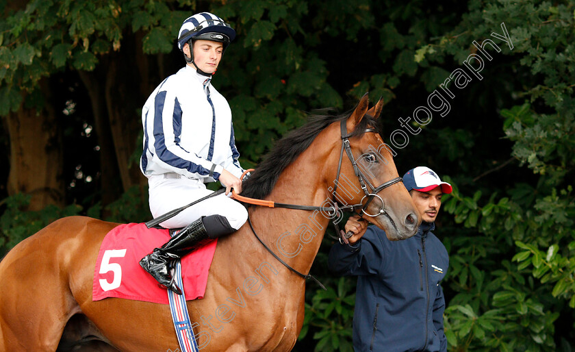 Tomshalfbrother-0001 
 TOMSHALFBROTHER (Eoin Walsh)
Sandown 9 Aug 2018 - Pic Steven Cargill / Racingfotos.com