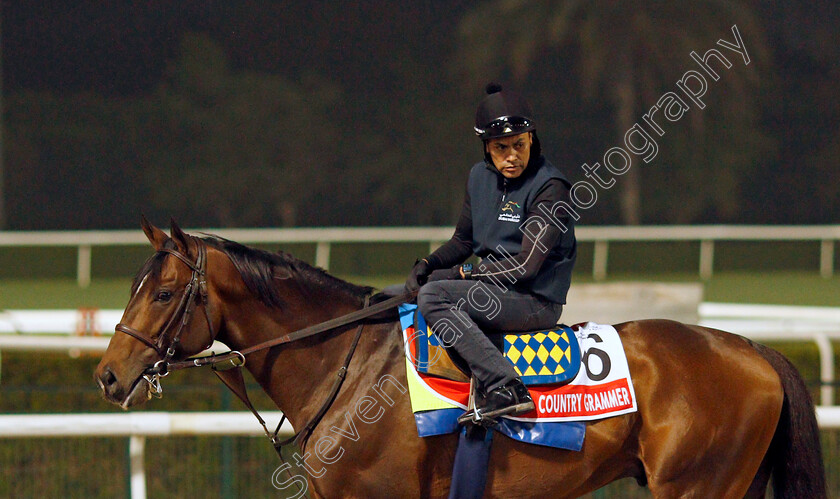 Country-Grammer-0001 
 COUNTRY GRAMMER training for the Dubai World Cup
Meydan, Dubai, 22 Mar 2022 - Pic Steven Cargill / Racingfotos.com