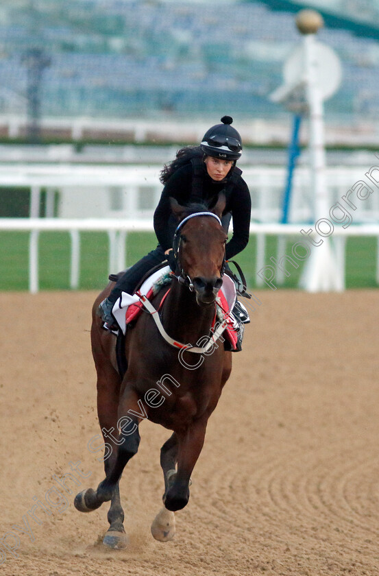 Good-Fortune-0002 
 GOOD FORTUNE training at the Dubai Racing Carnival 
Meydan 4 Jan 2024 - Pic Steven Cargill / Racingfotos.com