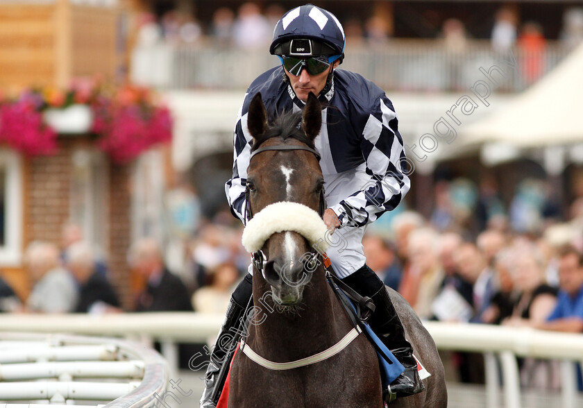 Queen-Jo-Jo-0001 
 QUEEN JO JO (Daniel Tudhope)
York 23 Aug 2018 - Pic Steven Cargill / Racingfotos.com