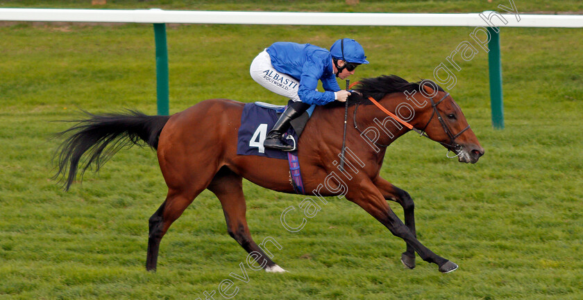 Big-Tour-0005 
 BIG TOUR (Pat Cosgrave) wins The Bombadier Beer Handicap Yarmouth 21 Sep 2017 - Pic Steven Cargill / Racingfotos.com