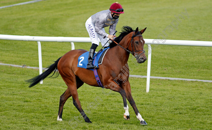 Zwelela-0001 
 ZWELELA (Pat Dobbs)
Leicester 1 Jun 2021 - Pic Steven Cargill / Racingfotos.com