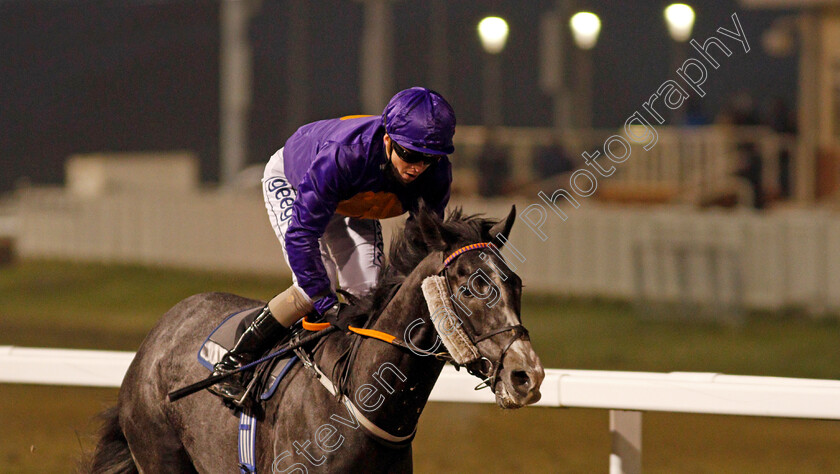 Arthur s-Angel-0005 
 ARTHUR'S ANGEL (David Probert) wins The tote Placepot Your Frsit Bet Nursery Div2
Chelmsford 27 Nov 2020 - Pic Steven Cargill / Racingfotos.com