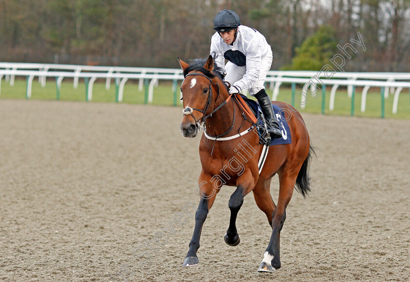 Opportunist-0001 
 OPPORTUNIST (Ben Curtis)
Lingfield 11 Dec 2019 - Pic Steven Cargill / Racingfotos.com