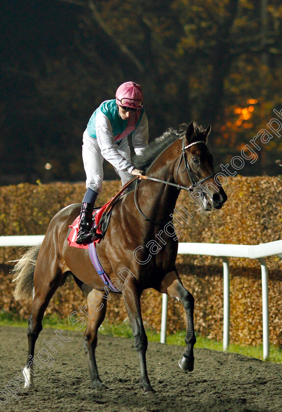 Headman-0002 
 HEADMAN (Kieran Shoemark)
Kempton 21 Nov 2018 - Pic Steven Cargill / Racingfotos.com