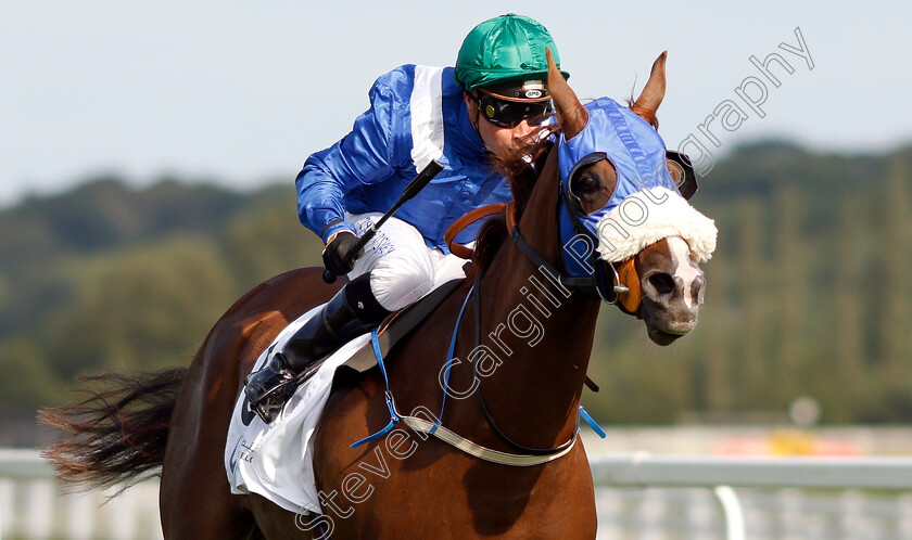 Thamaraat-0006 
 THAMARAAT (Tadhg O'Shea) wins The Dubai Developments Premier Handicap
Newbury 28 Jul 2019 - Pic Steven Cargill / Racingfotos.com