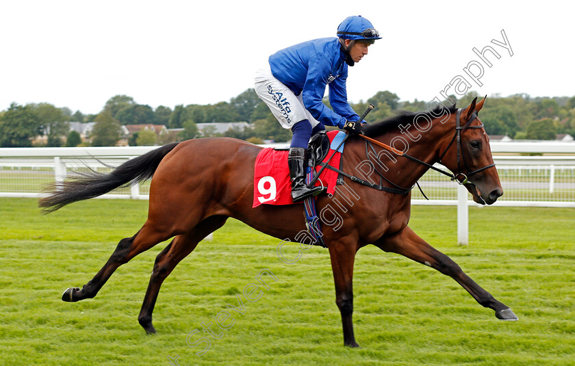 Motataabeq-0002 
 MOTATAABEQ (Jim Crowley)
Sandown 23 Aug 2020 - Pic Steven Cargill / Racingfotos.com