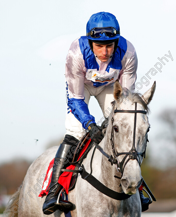 Solomon-Grey-0001 
 SOLOMON GREY (Harry Skelton) Kempton 26 Dec 2017 - Pic Steven Cargill / Racingfotos.com