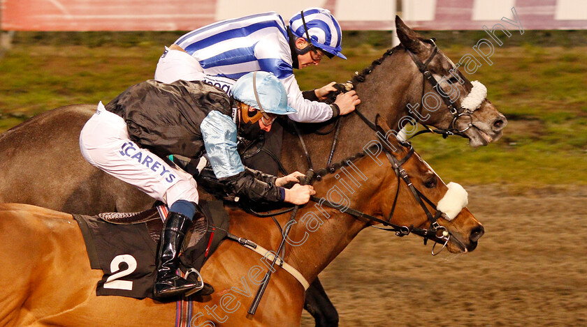 Spring-Romance-0006 
 SPRING ROMANCE (farside, David Probert) beats HEALING POWER (nearside) in The CCR Handicap
Chelmsford 4 Mar 2021 - Pic Steven Cargill / Racingfotos.com