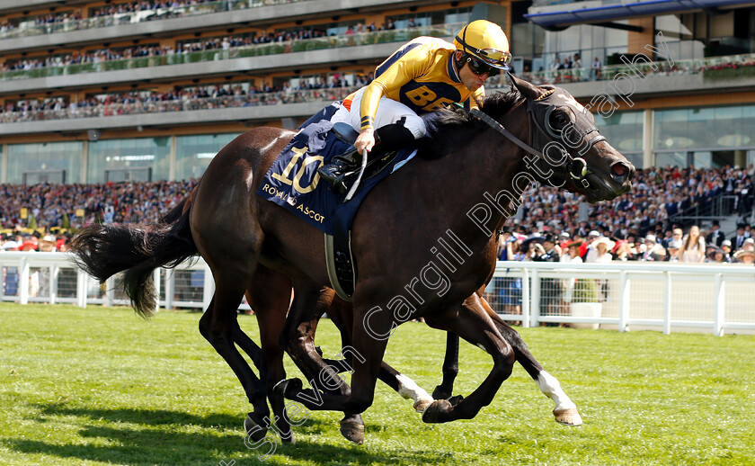 Shang-Shang-Shang-0004 
 SHANG SHANG SHANG (Joel Rosario) wins The Norfolk Stakes
Royal Ascot 21 Jun 2018 - Pic Steven Cargill / Racingfotos.com