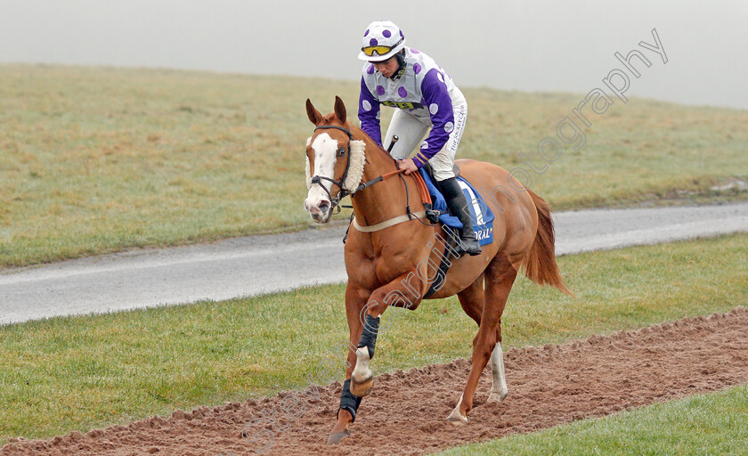 Nordano-0001 
 NORDANO (Bryony Frost)
Chepstow 27 Dec 2019 - Pic Steven Cargill / Racingfotos.com