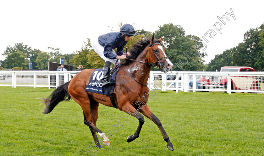 Anthony-Van-Dyck-0001 
 ANTHONY VAN DYCK (Ryan Moore)
Ascot 27 Jul 2019 - Pic Steven Cargill / Racingfotos.com