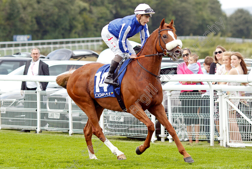 Marhaba-The-Champ-0001 
 MARHABA THE CHAMP (Rowan Scott)
Goodwood 1 Aug 2023 - Pic Steven Cargill / Racingfotos.com