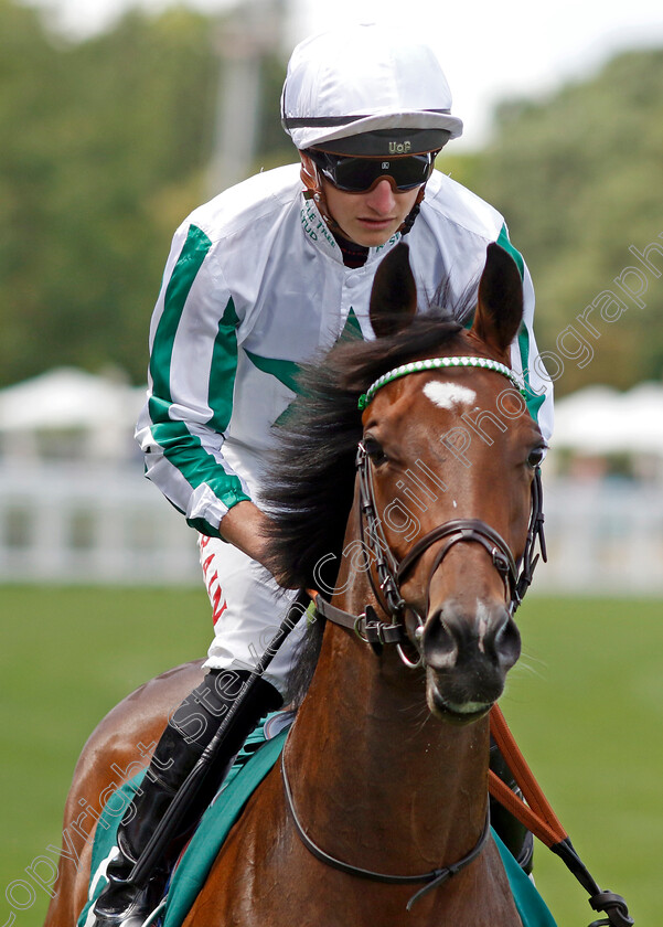 Royal-Charter 
 ROYAL CHARTER (Tom Marquand)
Ascot 23 Jul 2022 - Pic Steven Cargill / Racingfotos.com