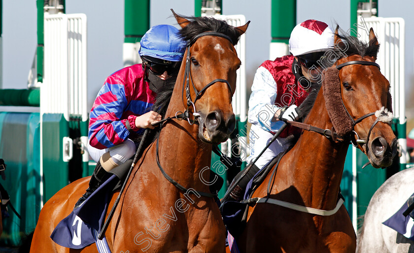 Tynecastle-Park-0010 
 TYNECASTLE PARK (left, Molly Presland) and SIR CANFORD (right, Silvestre De Sousa)
Yarmouth 19 May 2021 - Pic Steven Cargill / Racingfotos.com