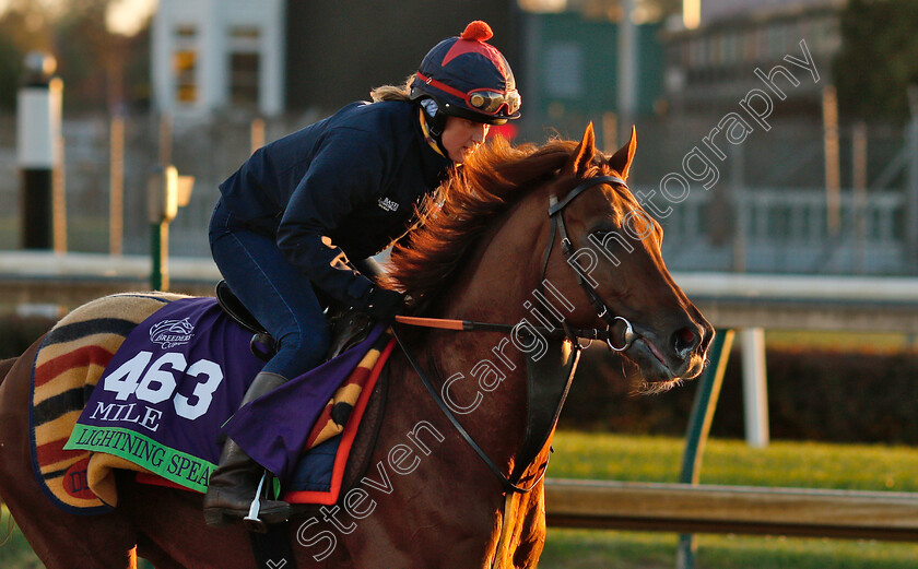 Lightning-Spear-0003 
 LIGHTNING SPEAR exercising ahead of The Breeders' Cup Mile
Churchill Downs USA 29 oct 2018 - Pic Steven Cargill / Racingfotos.com