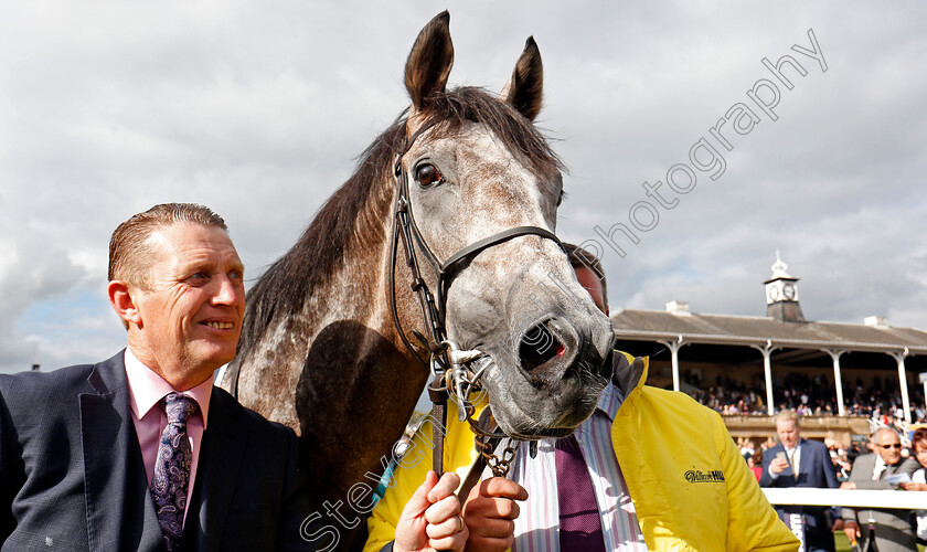 Capri-0017 
 CAPRI (Ryan Moore) after The William Hill St Leger Doncaster 16 Sep 2017 - Pic Steven Cargill / Racingfotos.com