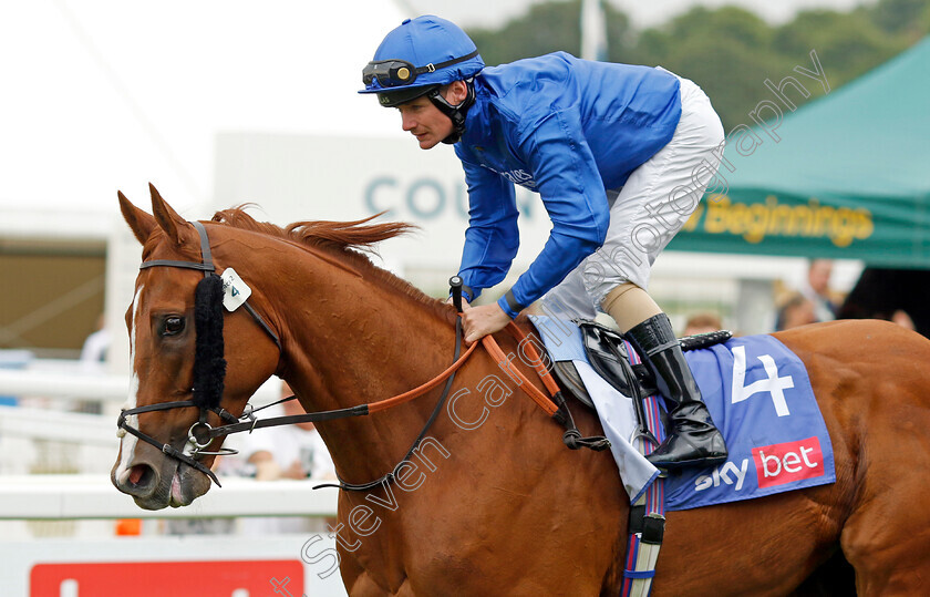 Wild-Lion-0007 
 WILD LION (Kieran O'Neill) winner of The Sky Bet Handicap
York 17 Jun 2023 - Pic Steven Cargill / Racingfotos.com