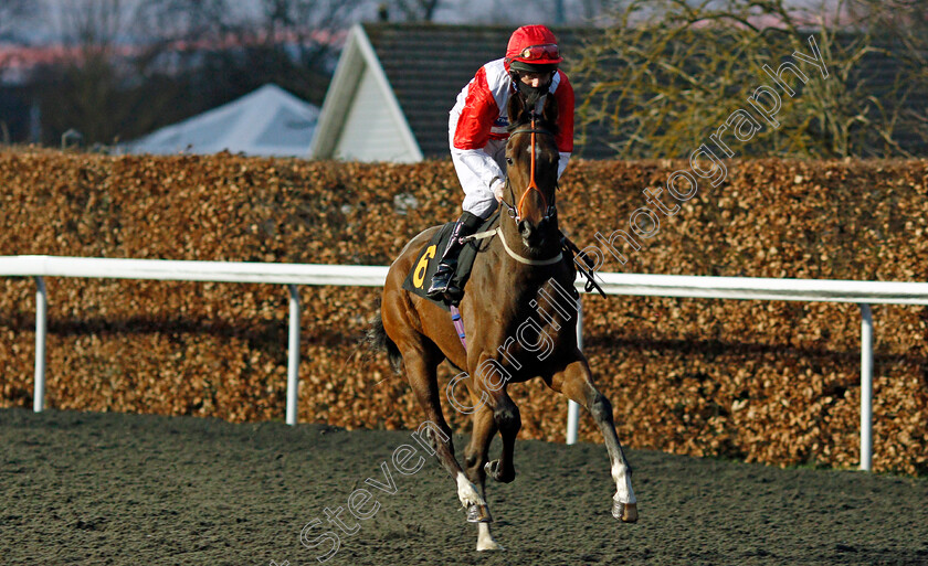 Vina-Bay-0001 
 VINA BAY (Liam Keniry) winner of The Unibet 3 Uniboosts A Day Handicap
Kempton 24 Feb 2021 - Pic Steven Cargill / Racingfotos.com