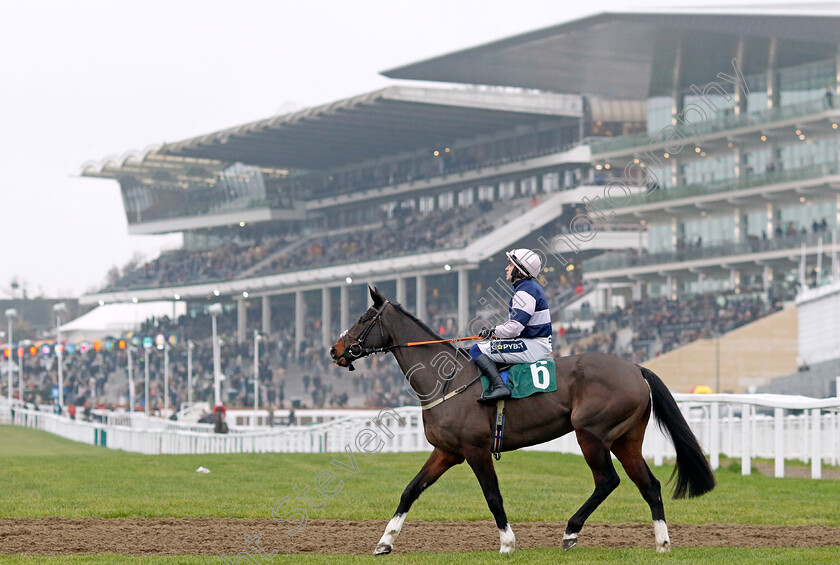 Java-Point-0001 
 JAVA POINT (Jonathan Burke)
Cheltenham 13 Dec 2024 - Pic Steven Cargill / Racingfotos.com