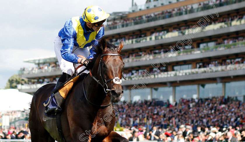 Poet s-Word-0006 
 POET'S WORD (James Doyle) wins The Prince Of Wales's Stakes 
Royal Ascot 20 Jun 2018 - Pic Steven Cargill / Racingfotos.com