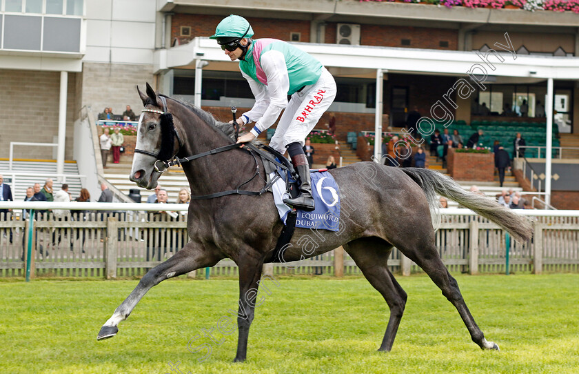 Crenelle-0002 
 CRENELLE (Robert Havlin)
Newmarket 23 Sep 2022 - Pic Steven Cargill / Racingfotos.com