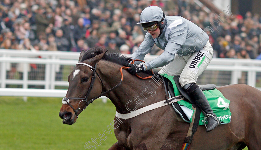 Santini-0008 
 SANTINI (Nico de Boinville) wins The Paddy Power Cotswold Chase
Cheltenham 25 Jan 2020 - Pic Steven Cargill / Racingfotos.com