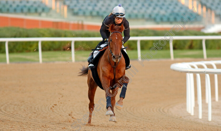 Traila-0002 
 TRAILA training at the Dubai World Cup Carnival
Meydan 5 Jan 2023 - Pic Steven Cargill / Racingfotos.com