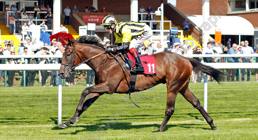 Sakheer-0001 
 SAKHEER (David Egan) wins The Auction Finance EBF Novice Stakes
Haydock 1 Sep 2022 - Pic Steven Cargill / Racingfotos.com