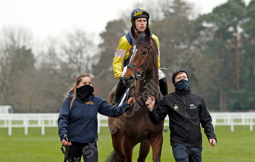 Amoola-Gold-0001 
 AMOOLA GOLD (Harry Skelton)
Ascot 22 Jan 2022 - Pic Steven Cargill / Racingfotos.com