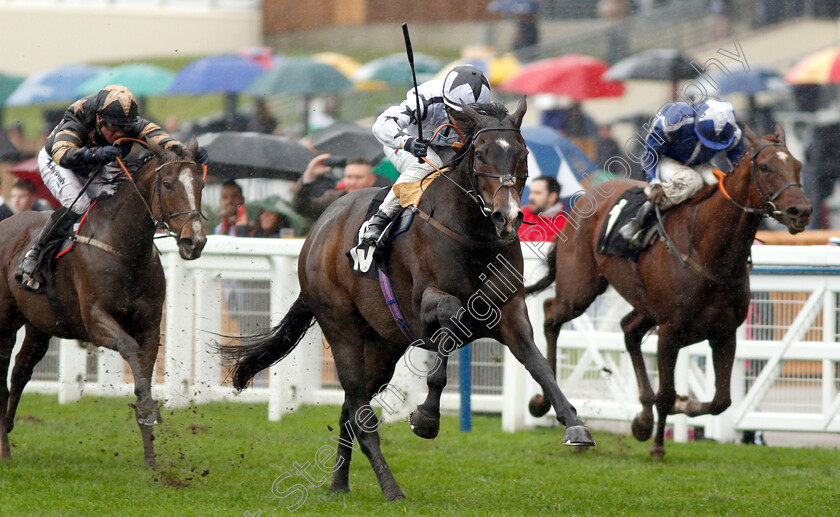 Raising-Sand-0005 
 RAISING SAND (Nicola Currie) wins The Bet With Ascot Challenge Cup Handicap
Ascot 6 Oct 2018 - Pic Steven Cargill / Racingfotos.com