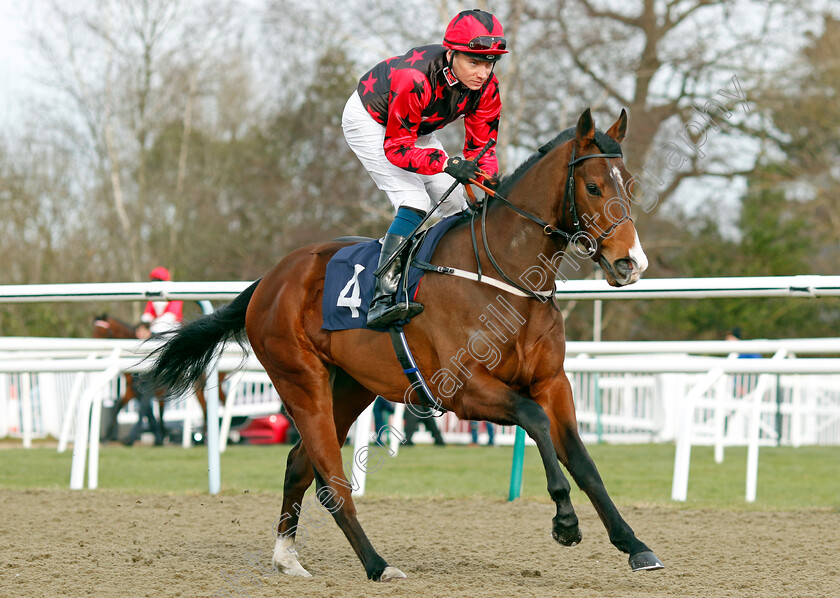 Roman-Emperor-0001 
 ROMAN EMPEROR (Callum Shepherd)
Lingfield 20 Jan 2024 - Pic Steven Cargill / Racingfotos.com