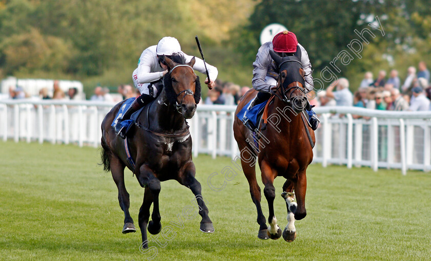 Sevenal-0003 
 SEVENAL (left, Robert Havlin) beats ZWELELA (right) in The Michael Brunton Memorial Pembroke Handicap
Salisbury 11 Aug 2021 - Pic Steven Cargill / Racingfotos.com