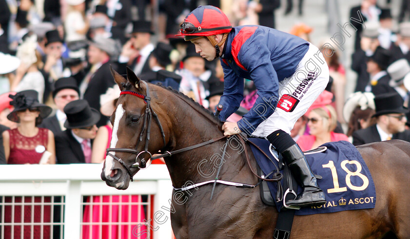 Lorelei-Rock-0001 
 LORELEI ROCK (L F Roche)
Royal Ascot 21 Jun 2019 - Pic Steven Cargill / Racingfotos.com