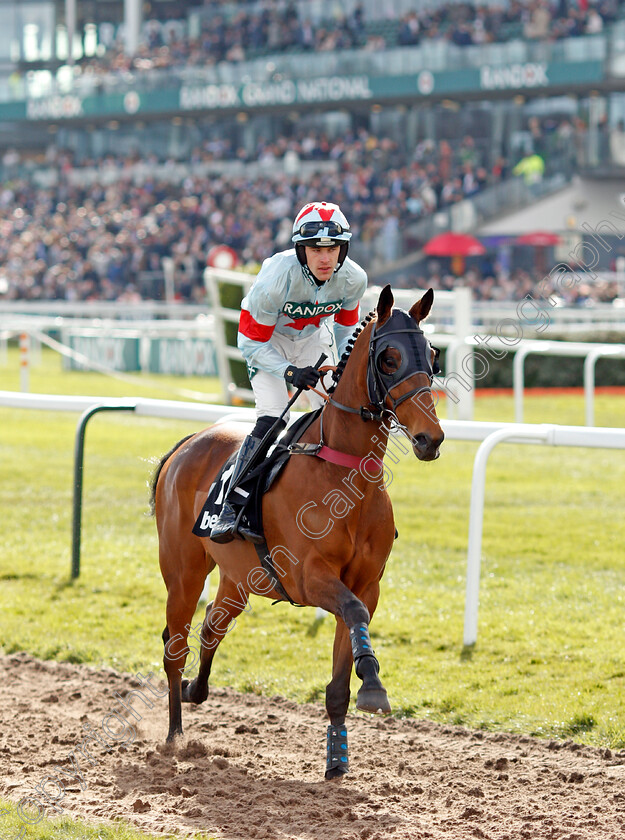 Didero-Vallis 
 DIDERO VALLIS (Hugh Nugent)
Aintree 9 Apr 2022 - Pic Steven Cargill / Racingfotos.com