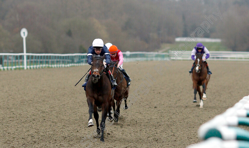 Swiss-Pride-0003 
 SWISS PRIDE (Shane Kelly) wins The Betway Maiden Stakes
Lingfield 2 Mar 2019 - Pic Steven Cargill / Racingfotos.com