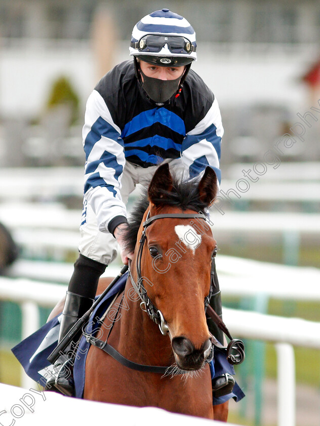 Severeen-0001 
 SEVEREEN (Cam Hardie)
Doncaster 28 Mar 2021 - Pic Steven Cargill / Racingfotos.com